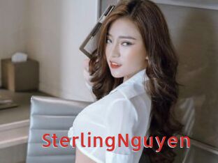 SterlingNguyen