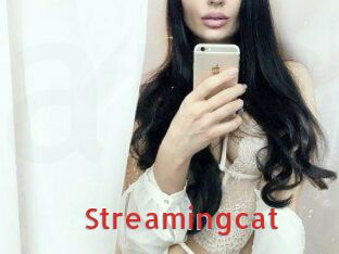 Streamingcat