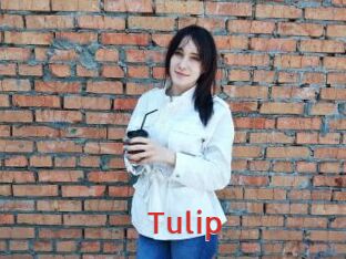 Tulip