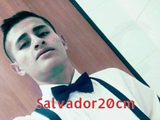 Salvador20cm