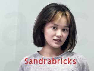 Sandrabricks