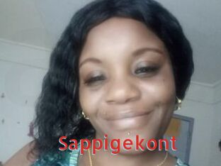Sappigekont