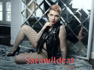 Sarawildcat