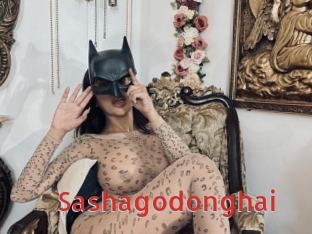Sashagodonghai