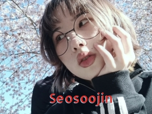 Seosoojin