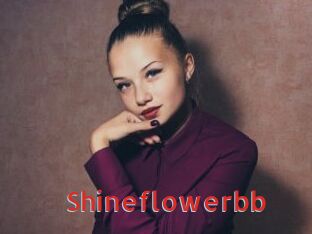 Shineflowerbb
