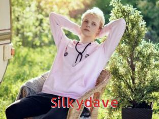 Silkydave
