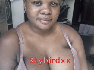 Skybirdxx
