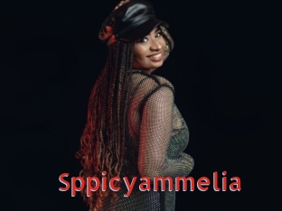 Sppicyammelia