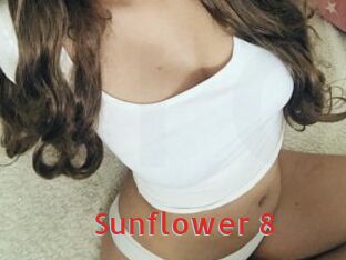 Sunflower_8
