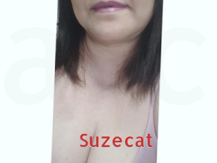 Suzecat