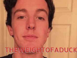 THEWEIGHTOFADUCK