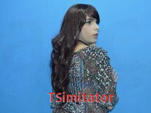 TSimitator