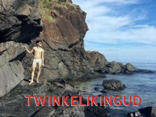 TWINKELIKINGUD