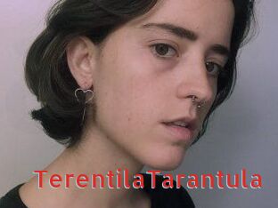 TerentilaTarantula