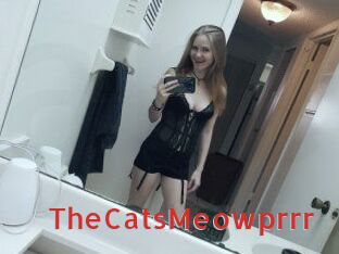 TheCatsMeowprrr