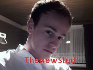 TheNewStud