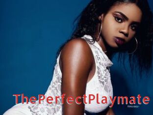 ThePerfectPlaymate