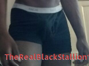 TheRealBlackStallion1