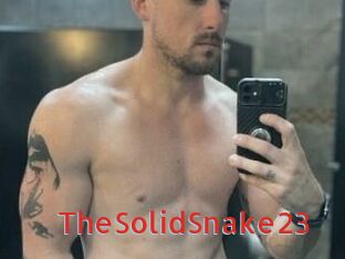 TheSolidSnake23