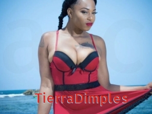 TierraDimples