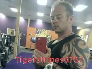 Tigerstripes6767
