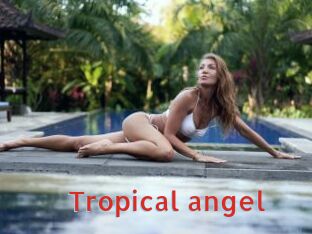 Tropical_angel