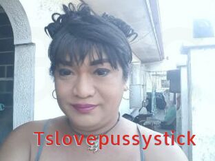 Tslovepussystick