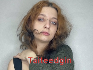 Taiteedgin