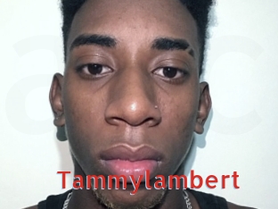 Tammylambert