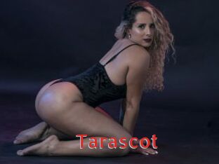 Tarascot