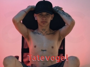 Tatevogel