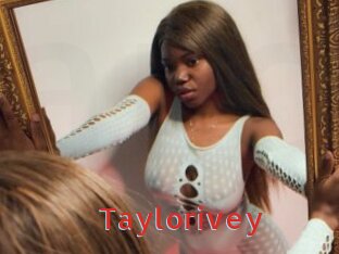 Taylorivey