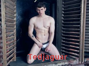 Tedjaguar