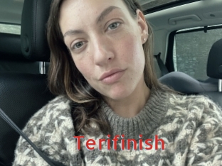 Terifinish