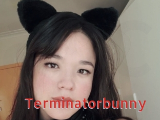 Terminatorbunny