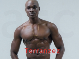 terranzez Archive DVD NET