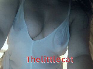 Thelittlecat