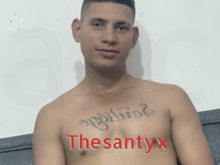 Thesantyx
