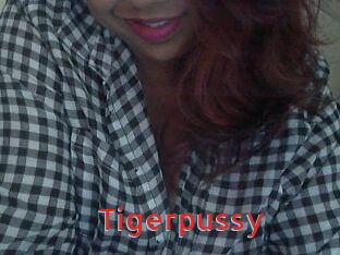 Tigerpussy