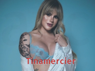 Tinamercier