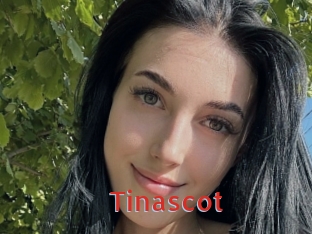 Tinascot