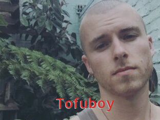 Tofu_boy