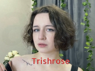 Trishrose