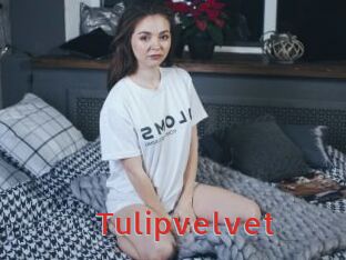 Tulipvelvet