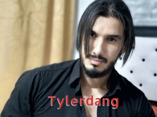 tylerdang Archive DVD NET
