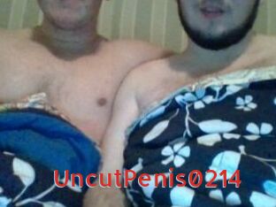 UncutPenis0214