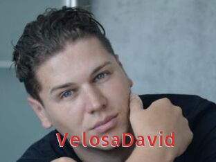 VelosaDavid