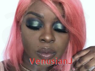 VenusianJ