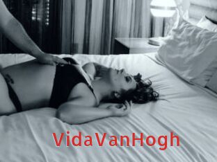 VidaVanHogh